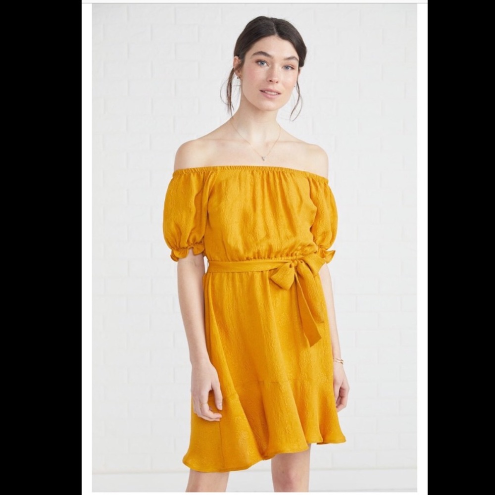 NWT Amour Vert Wallis 100% Silk Dress in Sunflower